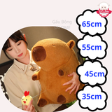  Gấu bông capybara chim gà cute 