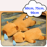  Gấu Bông Capybara Nằm Chảy Mũi 