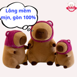  Gấu bông capybara nón gấu dâu 