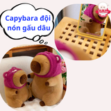  Gấu bông capybara nón gấu dâu 