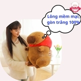  Gấu bông capybara đội mũi dâu 