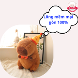  Gấu bông capybara đội nón happy everyday 