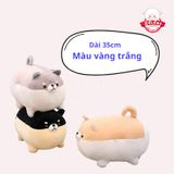  Gấu bông chó Corgi 