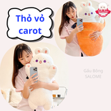  Gấu Bông Con Mèo Trong Cá Nướng, Thỏ Trắng Cà Rốt, Chó Trong Khúc Xương 