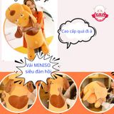  Gấu bông bộ ba mắt lồi 
