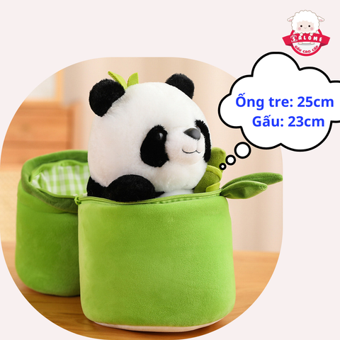  Gấu trúc ống tre 