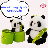  Gấu trúc ống tre 