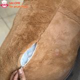  Gấu Bông Hải Cẩu Ôm Con Dễ Thương Nhỏ SALOME 