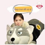 Gấu bông chó Husky 
