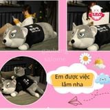  Gấu bông chó Husky 