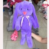  Gấu bông thỏ jelly cat 