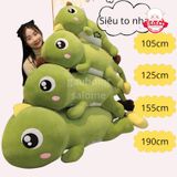  Gấu bông thằn lằn 70cm -1m5 