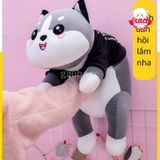  Gấu bông mèo bi 