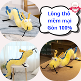  Gấu bông rồng vàng vô tri rồng hoạt hình bố rồng 