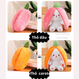  Gấu bông thỏ dâu, thỏ cà rốt 
