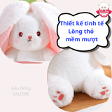  Gấu bông thỏ dâu, thỏ cà rốt 