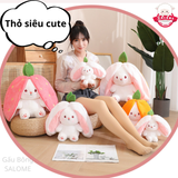  Gấu bông thỏ dâu, thỏ cà rốt 