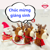  Gấu bông noel 