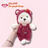  Gấu bông teddy mặc yếm dâu 30cm 