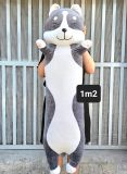 Gấu bông chó husky đứng mặt cười gối ôm chó xám 