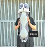  Gấu bông chó husky đứng mặt cười gối ôm chó xám 