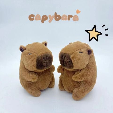  Gấu bông capybara nhí mini 20cm nhiều mẫu 