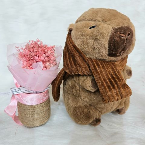  Gấu bông capybara nhí mini 20cm nhiều mẫu 