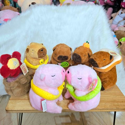  Gấu bông capybara nhí mini 20cm nhiều mẫu 