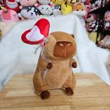  Gấu bông capybara cầm trái tim 