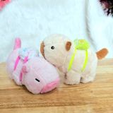  Gấu bông capybara ôm tay 