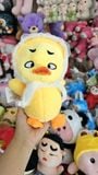  Gấu bông con vịt nhí 20cm mỏ nhựa 