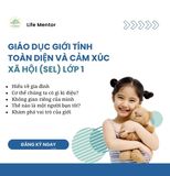  Giáo Dục Giới Tính Toàn Diện Và Cảm Xúc Xã Hội (SEL) Dành Cho Trẻ Lớp 1 