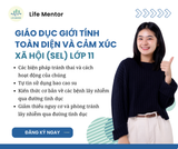  Giáo Dục Giới Tính Toàn Diện Và Cảm Xúc Xã Hội (SEL) - Lớp 11 