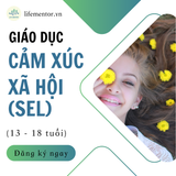 Giáo dục Cảm xúc xã hội (13 - 18 tuổi) 