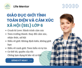  Giáo Dục Giới Tính Toàn Diện Và Cảm Xúc Xã Hội (SEL) - Lớp 6 