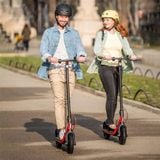  Xiaomi Ninebot Kick Scooter D38U 