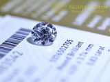  GIA DIAMOND 6.0MM (F/VS1) 2705 (KIM CƯƠNG THIÊN NHIÊN GIA 6.0LI  F/VS1 2705) 