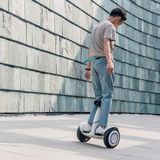  Ninebot Plus Segway 