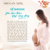  Combo Dung dịch vệ sinh muối biển xanh & Serum khử mùi ngừa thâm nách và chân SHeGAN 