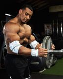  Personal Record Heavy Duty Premium Elbow Wraps - PR903 - Snow Camo 