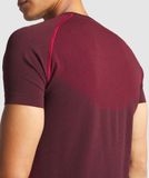  GYMSHARK Vital SEAMLESS T-SHIRTS - Red 