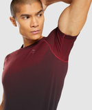  GYMSHARK Vital Ombre SEAMLESS T-SHIRTS - Burgundy Marl/Black 