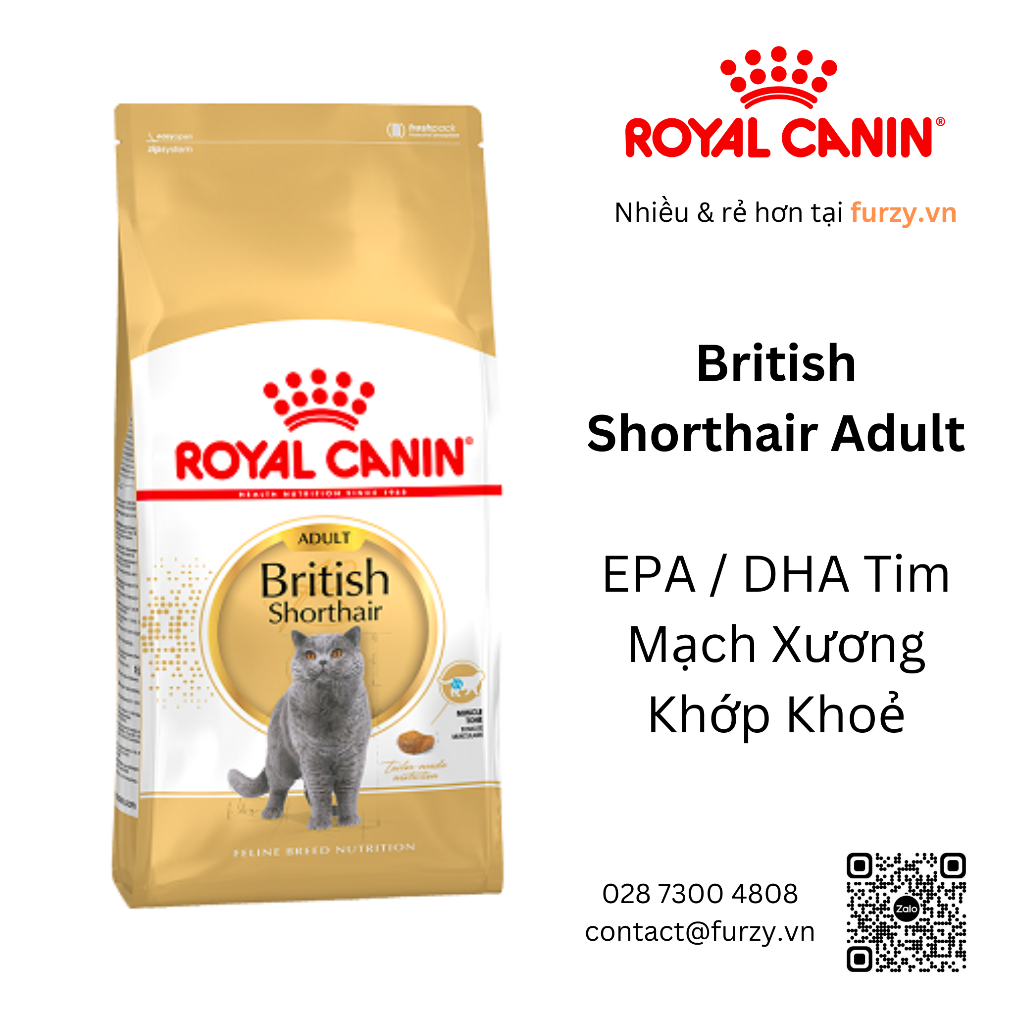 Royal Canin Thức Ăn Hạt Cho Mèo Anh Lông Ngắn Trưởng Thành British Sho