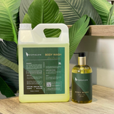  AromaLore - Green Zen Garden 