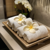  Khăn lau tay (wash cloth) 