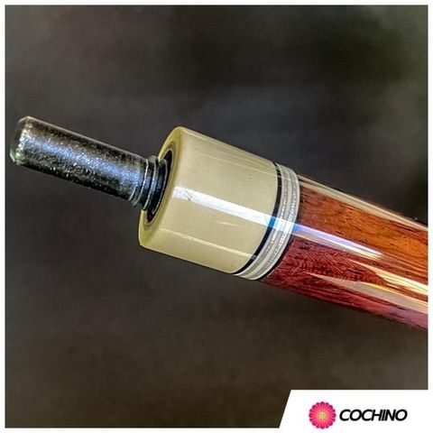 co-bida-3-bang-3C-cochino-cao-cap