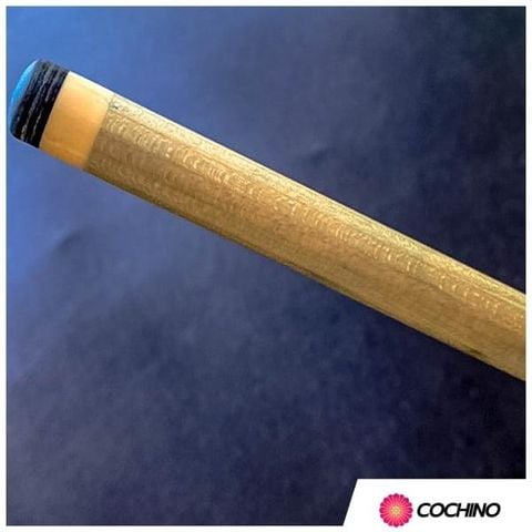 co-bida-3-bang-3C-cochino-cao-cap