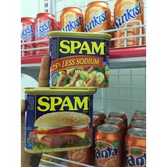Thịt Hộp SPam Bánh Mì - 340g