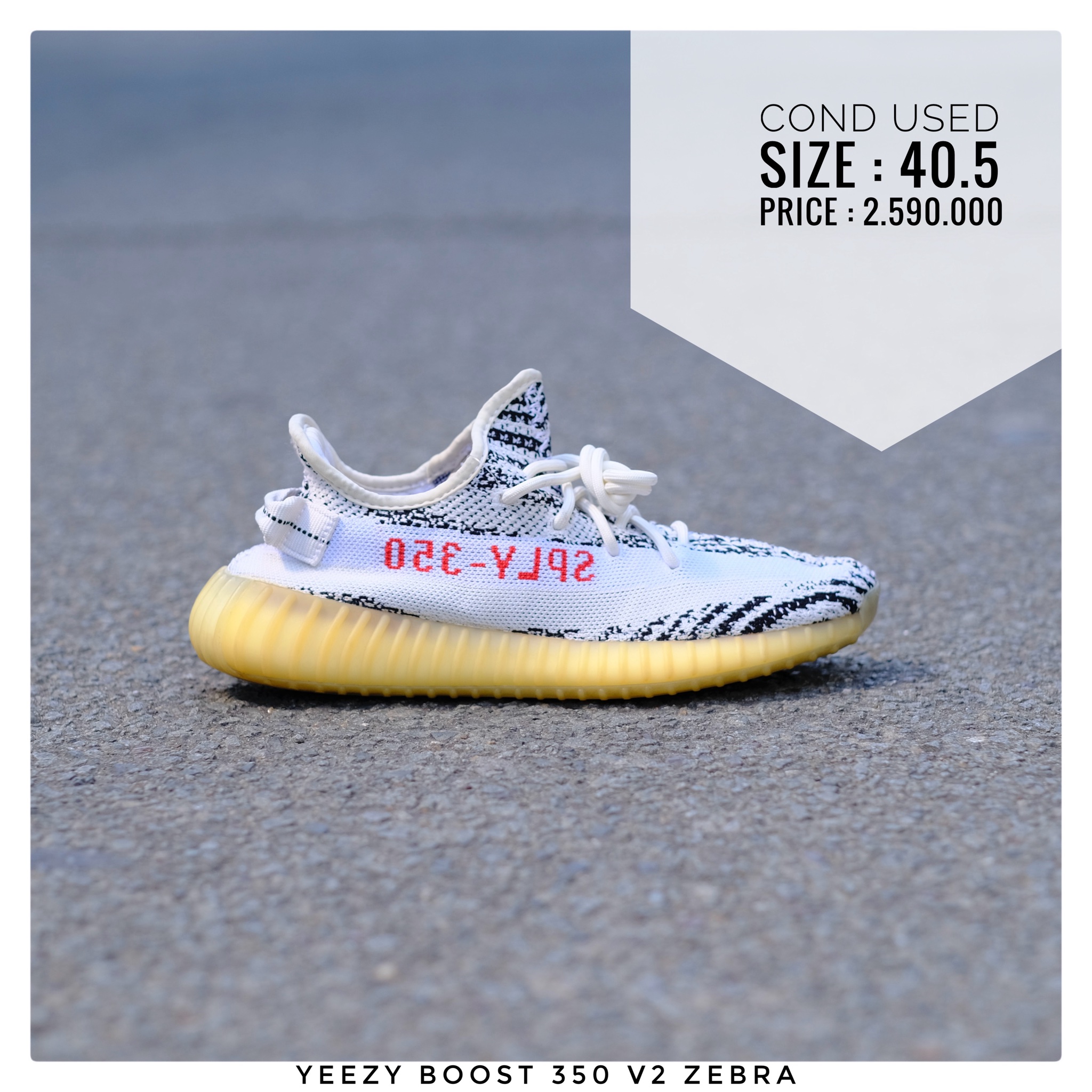 Zebra New Yeezy Price Giày Yeezy Zebra Adidas Yeezy Boost 350