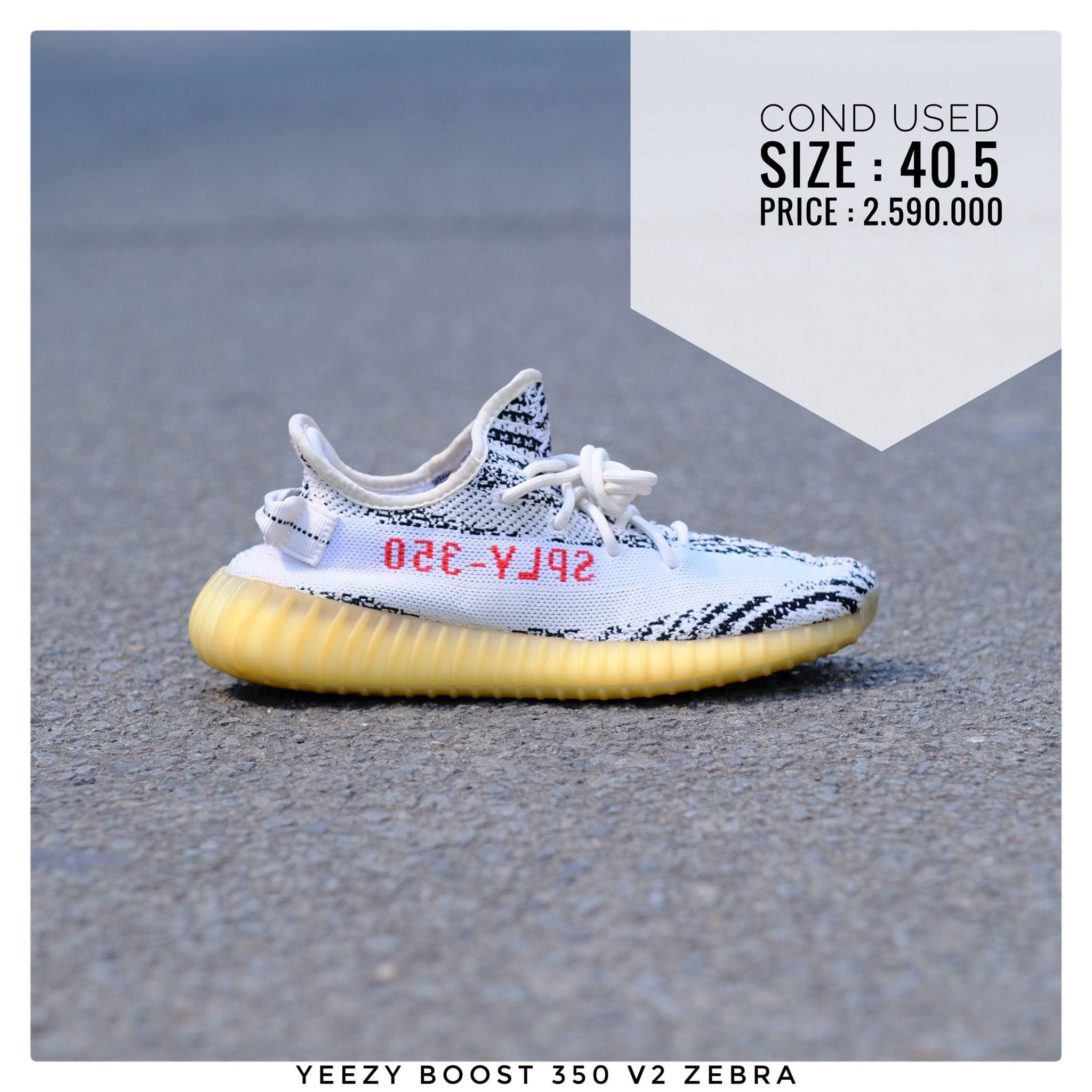 G2h Yeezy Bóot 350 V2 Zebra Giày bám bụi